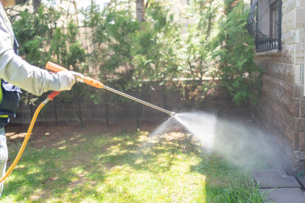 Lawn Pest Control in Pahrump, NV